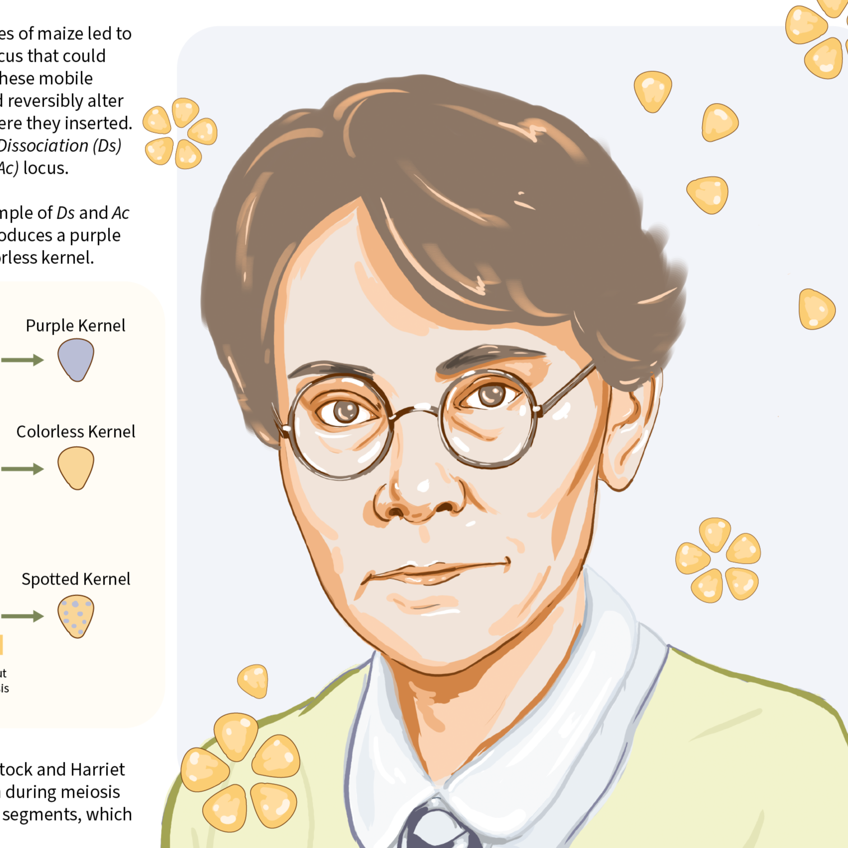 Barbara McClintock