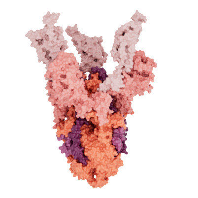 mRNA Vaccines Poster