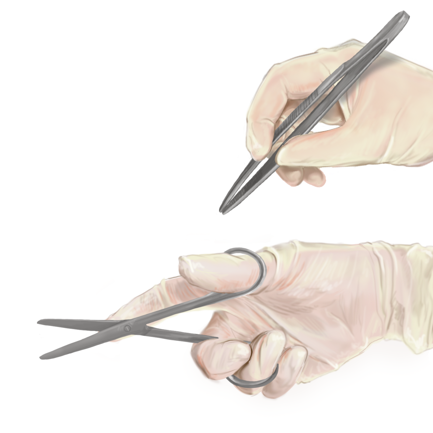 Gloved Hands Sketch